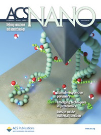 ACSNanoCover_small